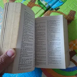 Từ Điển Trung - Việt 995067