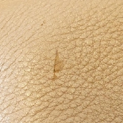 Gucci 246907 Túi đeo vai - Hàng hiệu Chính hãng 765494