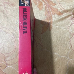 Bầu trời sụp đổ- Sidney Sheldon 2003 470476