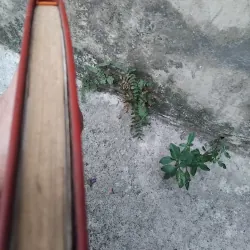 Quyền sư truyện của Trần Việt Trung  1025093