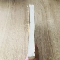 LỚN LÊN TRÊN ĐẢO VẮNG 1027793