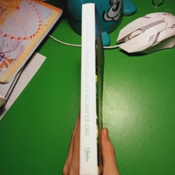 MÙA HÈ CUỐI CÙNG NƠI NÀY CÓ CẬU LIGHT NOVEL 455522
