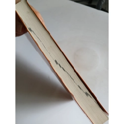 Từ Điển Thành Ngữ & Tục Ngữ Việt Nam - Nguyễn Lân 550415