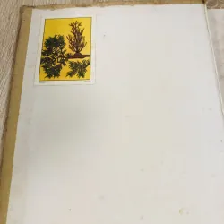 MANUEL DU GRADÉ (Tome II) – Sách quân sự Pháp xưa 1953 971137