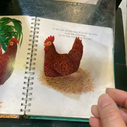 Những khám phá đầu tiên của tớ : Trứng - nhã nam  1027418