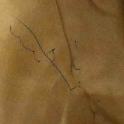 Bottega Veneta 115654 V0013 Túi đeo vai 611756