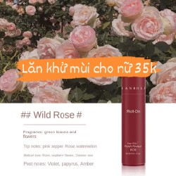 Lăn khử mùi chai 20ml 25789