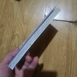 Tsubasa giấc mơ sân cỏ tập 18 459566