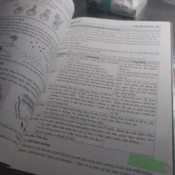 Sách tự học sinh học 10 tập 2 782401