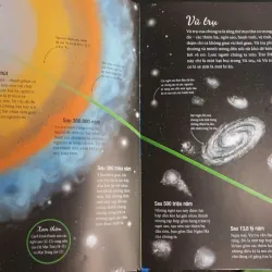 Vòng Đời - Vạn Vật Từ Khởi Đầu Cho Đến Kết Thúc 1009017