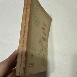 Trồng hái và dùng cây thuốc  554939