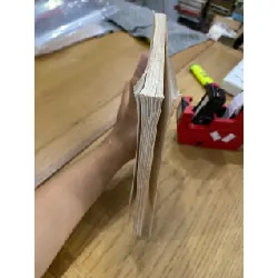 Miền gái đẹp - Hoàng Phủ Ngọc Tường 125029