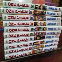 Combo 10 cuốn One Piece bìa áo tùy chọn 222554