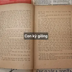 Trọn bộ 2q CON KỲ GIÔNG - Morris West 703806