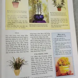 PHONG THỦY NGHỆ THUẬT BÀI TRÍ NHÀ CỬA THEO KHOA HỌC PHƯƠNG ĐÔNG - VŨ TÀI HOA 791852