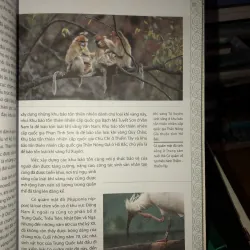 Môi trường Trung Quốc - Lưu Quân Hội - Vương Giai 782144