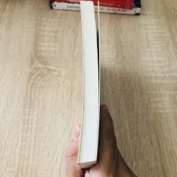 CON LÀ KHÁCH QUÝ - Ghi chép về cách người Mỹ nuôi dạy con 1004253