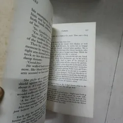 Sách The English Patient 717403