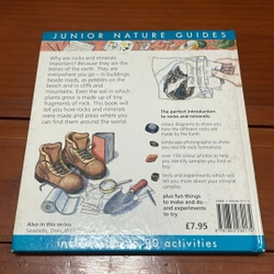 PICTURE BOOK Rocks & minerals 536494