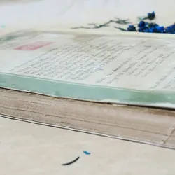 Sách trước 1975. Văn học Mỹ NHÀ TÀI PHIỆT CUỐI CÙNG -  Scott Fitzgerald 702536