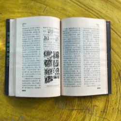 THE LOST CIVILIZATION - KHÁM PHÁ VĂN MINH MAYA- bản tiếng Trung 994246