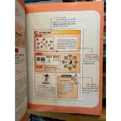 Linh kỳ kinh -Đông phương sóc (Hán) 786166