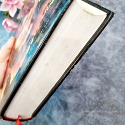 
Cuốn Theo Chiều Gió (Tiểu Thuyết) - Tác giả: Margaret Mitchell 155007