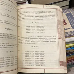 TỨ THƯ NGŨ KINH, KHỔNG TỬ, sách tiếng Trung (xb 2008) 568884