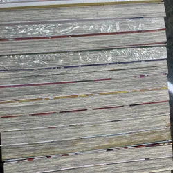 Bộ truyện Nhà có 5 nàng dâu Negi Haruba tập 1-14 689319