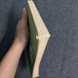 Nguyễn Bỉnh Khiêm trong lịch sử phát triển văn hóa dân tộc 799031