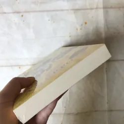 Người Nuôi Ong Thành Aleppo - Christy Lefteri 756699