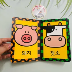 Set boardbook tiếng Hàn B34  1066253