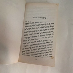 Message in a bottle - Nicholas Sparks 447965
