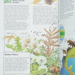 175 More science experiments to amuse and amaze your friends 786525