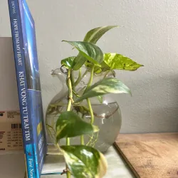 Khát vọng từ trái tim - bìa cứng 751800