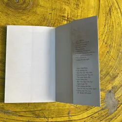 TRƯƠNG NAM HƯƠNG- ĐƯỜNG THI NGẪU DỊCH 101 BÀI 735731