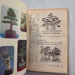 Kỹ thuật Bonsai - Hoài Đức 720789