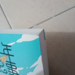 Ký sự thiếu niên (sách tiếng trung) 734685