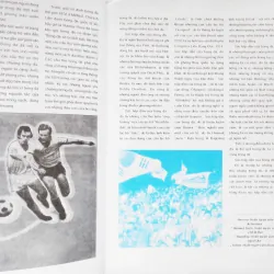 Bóng đá thế giới 561644