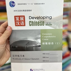 Developing Chinese 