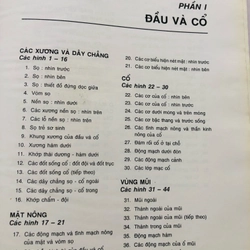 3. ATLAS GIẢI PHẪU NGƯỜI  470951