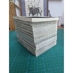 TRUYỆN TRANH CÔ DÂU PHÁP SƯ 366161