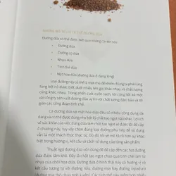 Một cuốn sách kỳ diệu về Dừa 🌊 601960