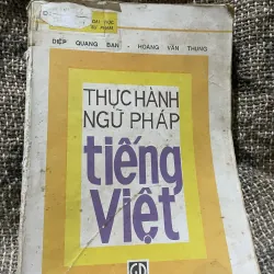Thực hành ngữ pháp tiếng Việt DIỆP ĐẠI HỌC SƯ PHẠM QUANG BAN -HOÀNG VĂN THUNG