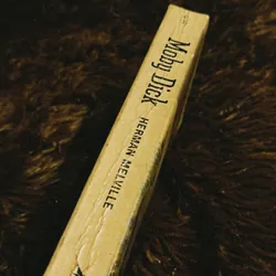 Moby Dick (English) 698197