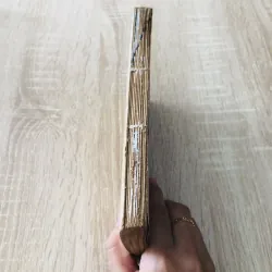 NHỮNG DANH SĨ MIỀN NAM 974854