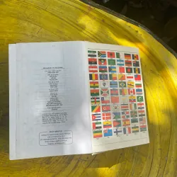 TỪ ĐIỂN ANH - VIỆT ENGLISH- VIETNAMESE DICTIONARY 2002(a) 730746