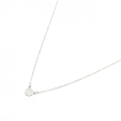 Dây chuyền Tiffany By The Yard - Hàng hiệu Authentic 843726