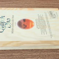 Tiểu thuyết ĐOẠN CUỐI CUỘC TÌNH (Quỳnh Dao) - 343 trang 778172