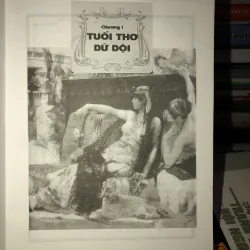 Nữ hoàng Ai Cập 995621